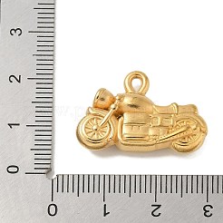304 Stainless Steel Pendants Ion Plating(IP)&nbsp;STAS-Q334-45G