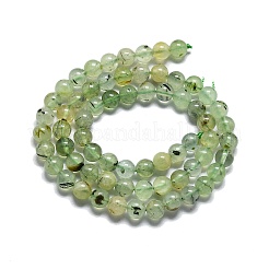 Natural Prehnite Beads Strands&nbsp;G-G457-6mm-03