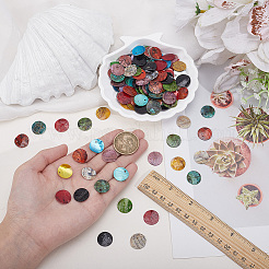 150Pcs 10 Colors Natural Shell Charms&nbsp;SHEL-PA0001-03
