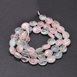 Natural Morganite Chip Beads Strands&nbsp;G-E271-132