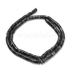 Natural Larvikite Beads Strands&nbsp;G-Z110-A05-2x4mm