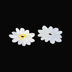 Natural White Shell Pendants&nbsp;SHEL-T020-66