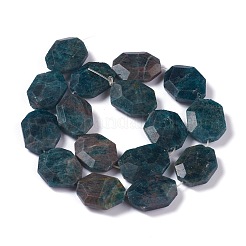 ファセット天然アパタイトビーズ連売り  オーバル  23~24x18~19x7mm  穴：0.8mm  約16個/連  15.16インチ（38.5cm）&nbsp;G-H242-01B