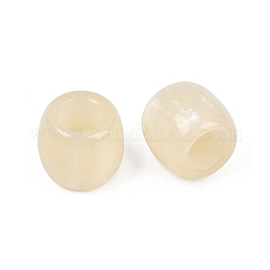 不透明樹脂ヨーロッパビーズ  コラム大穴ビーズ  古いレース  12x10mm  穴：4.8mm&nbsp;X-RESI-C070-03