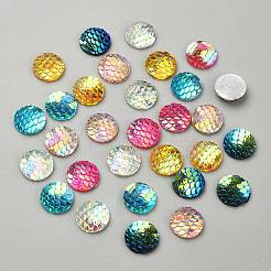 30Pcs 6 Colors Resin Cabochons&nbsp;CRES-YW0001-25