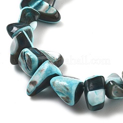 Dyed Natural Trochus Shell Beads Strands&nbsp;BSHE-Z006-01E