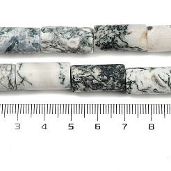 Natural Tree Agate Beads Strands&nbsp;G-U018-B03-01