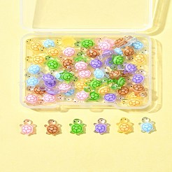 60 個 6 色の蓄光樹脂カボション  暗闇で光る  カメ  ミックスカラー  11x7.5x4mm  10個/カラー&nbsp;RESI-FS0001-95