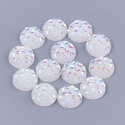 Resin Cabochons&nbsp;CRES-T012-01