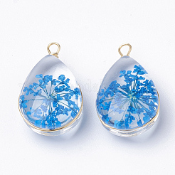 ガラスチャーム  中にドライフラワーあり＆真鍮パーツ  ティアドロップ  ゴールドカラー  ミックスカラー  22~24x13x8mm  穴：2mm&nbsp;X-GLAA-Q070-005