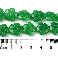 Dyed Natural Malaysia Jade Beads Strands&nbsp;G-H023-B18-01