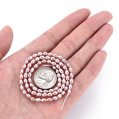 Natural Cultured Freshwater Pearl Beads Strands&nbsp;PEAR-N012-02D