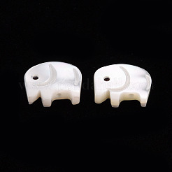 天然トロチッドシェル/トロカスシェルビーズ  象  貝殻色  9.5x11x2~3mm  穴：0.8mm&nbsp;SSHEL-T014-31