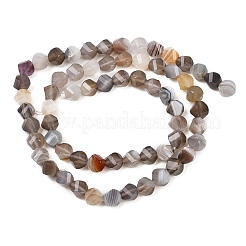 Natural Botswana Agate Beads Strands&nbsp;G-P611-C08-01