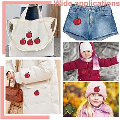 18Pcs Computerized Embroidery Cloth Iron On/Sew On Patches&nbsp;PATC-CA0001-01