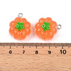 Opaque Resin Pendants&nbsp;LS-RESI-N039-124
