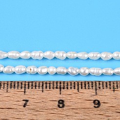 Natural Cultured Freshwater Pearl Beads Strands&nbsp;PEAR-T006-30