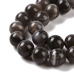 Natural Black Moonstone Beads Strands&nbsp;G-J157-12mm-05