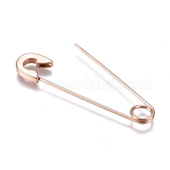 304 Stainless Steel Dangle Earrings&nbsp;EJEW-F254-01RG