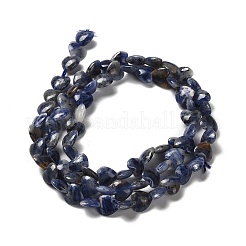 Natural Sodalite Beads Strands&nbsp;G-P575-C15-6mm