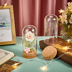 2Pcs Glass Cloche Dome Covers&nbsp;AJEW-BC0008-81