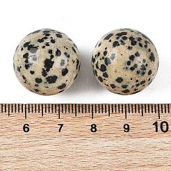 Natural Dalmatian Jasper Sphere Beads&nbsp;GG-D003-A14