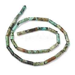 Natural African Turquoise(Jasper) Beads Strands&nbsp;G-F247-29