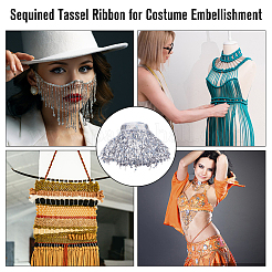 10M Paillette Tassel Ribbon Trim&nbsp;OCOR-WH0078-162B
