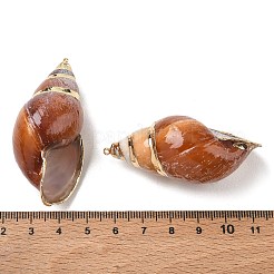 天然の螺旋状の巻貝の大きなペンダント  巻き貝の形  金色の真鍮エッジ付き  チョコレート  57~68x24~33x23~27mm  穴：1.7mm&nbsp;SH-CBACA76-10