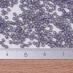 MIYUKI Delica Beads&nbsp;X-SEED-J020-DB0870