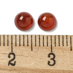 Natural Carnelian Cabochons&nbsp;X-G-Q173-01B-14