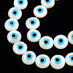 Natural Sea Shell Beads Strands&nbsp;SSHEL-Q296-36