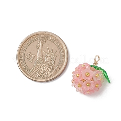 透明なアクリルパーツ  真鍮パーツ  花のチャーム  ミックスカラー  19~20.5x17~20.5x12~14mm  穴：2mm&nbsp;PALLOY-JF04847