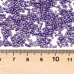 MIYUKI Delica Beads&nbsp;LS-X-SEED-J020-DB2510