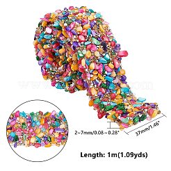 樹脂ホットフィックスラインストーンビーズトリム  チップのシェルビーズと  アップリケチェーンソーイングアクセサリーのアイロン  洋服バッグ靴結婚披露宴デコレーション用  カラフル  37x2~7mm&nbsp;DIY-WH0166-42