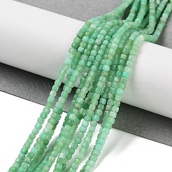 Natural Chrysoprase Beads Strands&nbsp;G-B088-E19-02