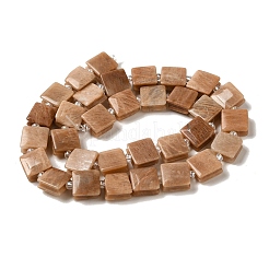 Natural Sunstone Beads Strands&nbsp;G-L596-A09-01