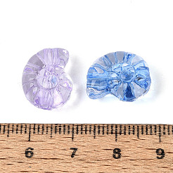 Transparent Acrylic Beads&nbsp;TACR-T029-13M