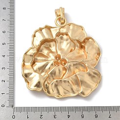 Alloy Big Pendants&nbsp;FIND-G094-04B-MG