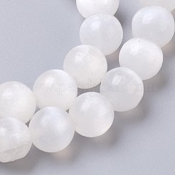 Natural Selenite Beads Strands&nbsp;G-I203-C-6mm