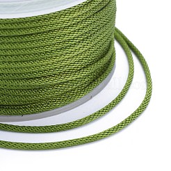 Polyester Braided Cords&nbsp;OCOR-I006-A01-36