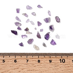 Natural Amethyst Chip Beads&nbsp;X-G-L453-06
