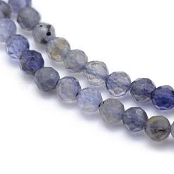Natural Cordierite/Iolite/Dichroite Beads Strands&nbsp;G-E411-39-3mm