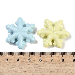 Opaque Acrylic Beads&nbsp;SACR-U003-01