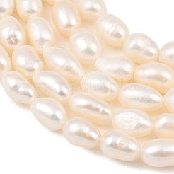天然養殖淡水パールビーズ連売り  ライス  グレード3 A  パパイヤホイップ  5~6mm  穴：0.6mm  約45~54個/連  12.99~13.78''（33~35センチメートル）&nbsp;PEAR-F020-18