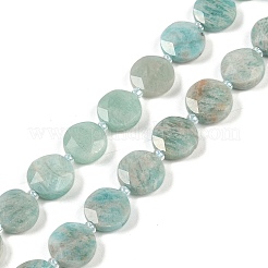 Natural Amazonite Beads Strands&nbsp;G-C116-A23-01A