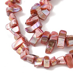 Natural Freshwater Shell Beads Strands&nbsp;BSHE-H018-07B