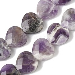 Natural Amethyst Beads Strands&nbsp;G-A309-A11-01