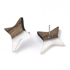 Resin & Walnut Wood Stud Earrings&nbsp;EJEW-N017-004A
