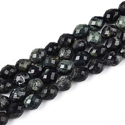 Natural Kambaba Jasper Beads Strands&nbsp;G-T142-86